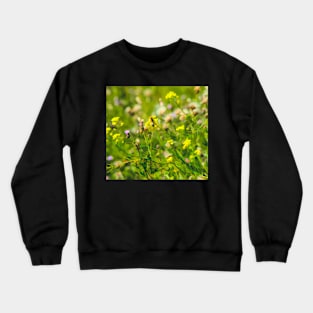 Wild plant illustration Crewneck Sweatshirt